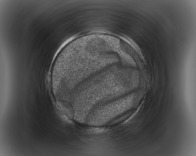 X0000082941190200703020120