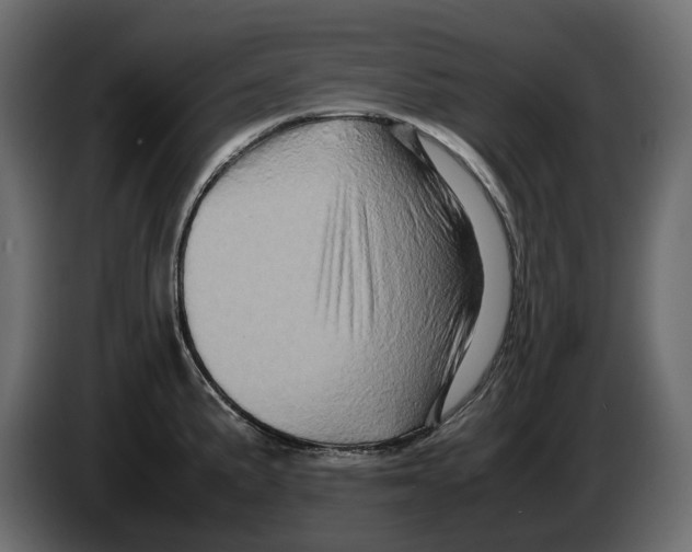 X0000082941191200703020120