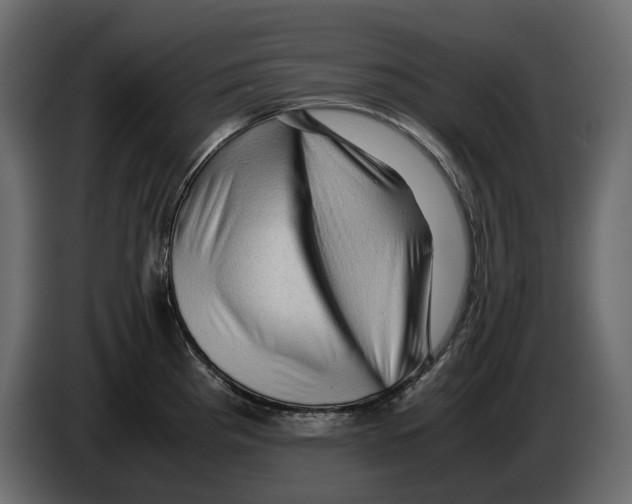 X0000082941193200703020120