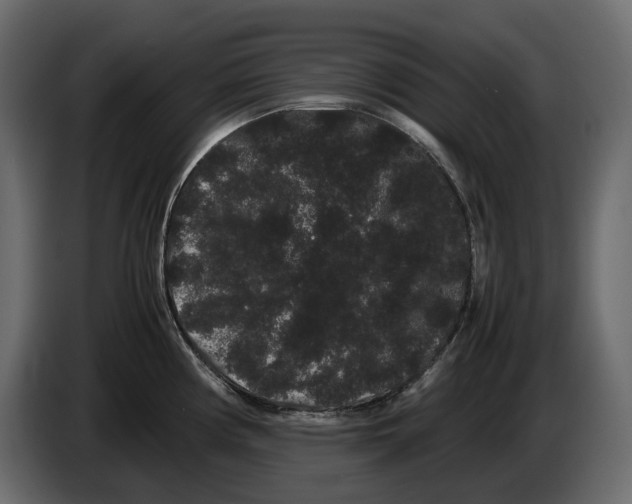 X0000082941194200703020120