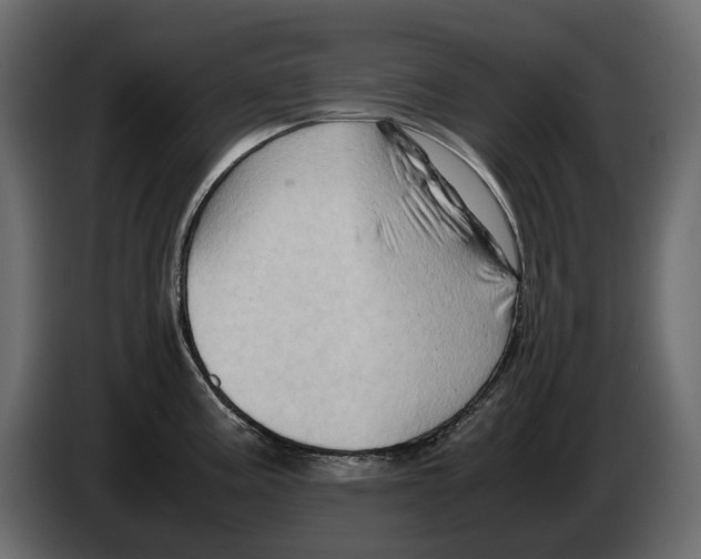 X0000082941195200703020120