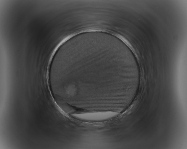 X0000082941197200703020120