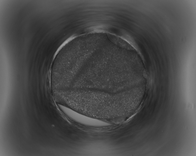 X0000082941198200703020120