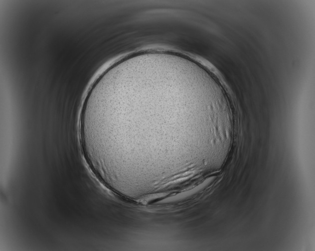 X0000082941199200703020120