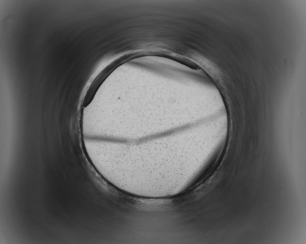 X0000082941200200703020120