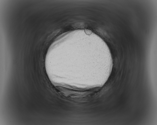 X0000082941201200703020120