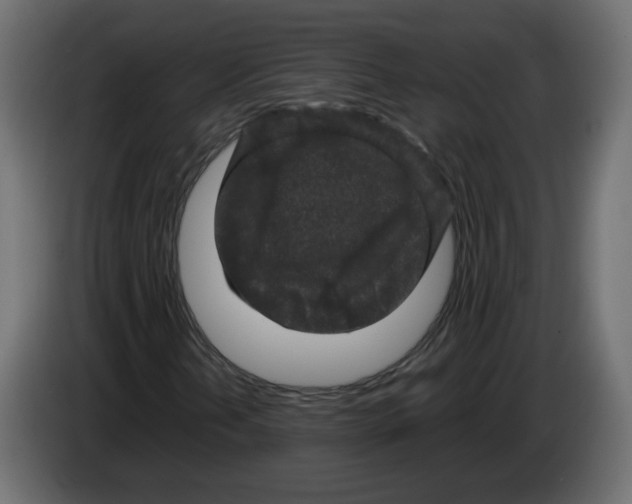 X0000082941202200703020120