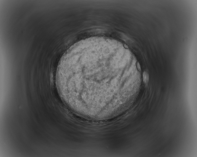 X0000082941203200703020120