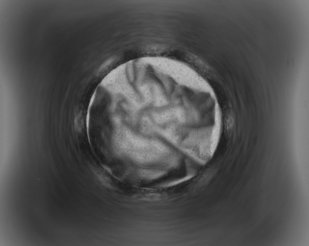 X0000082941204200703020120