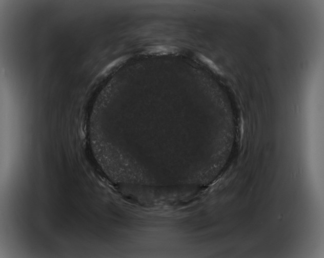 X0000082941206200703020120