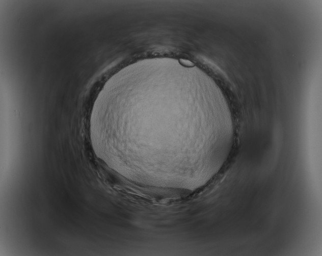 X0000082941207200703020120