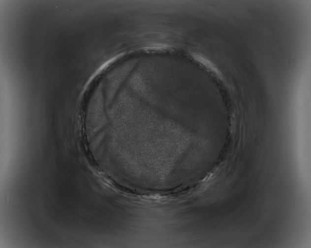 X0000082941208200703020120