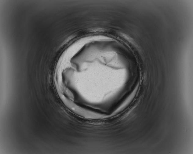 X0000082941209200703020120