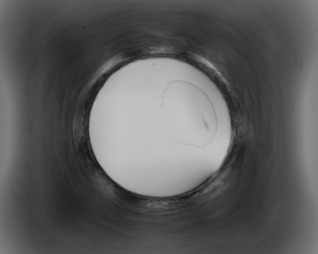 X0000082941211200703020120