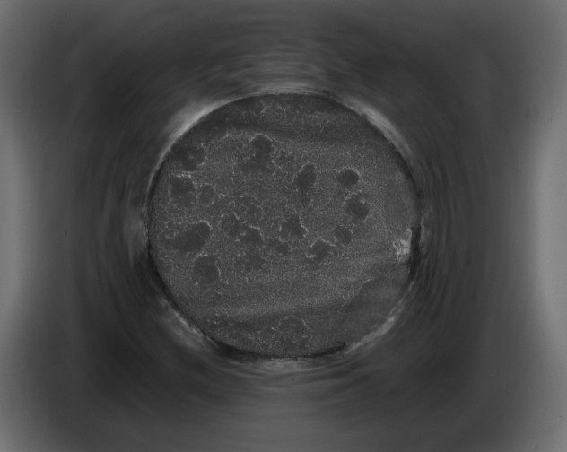 X0000082941212200703020120