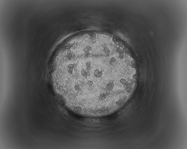 X0000082941215200703020120