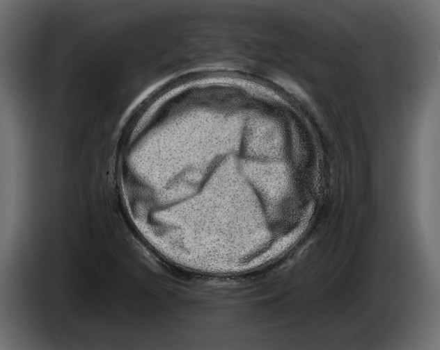 X0000082941216200703020120