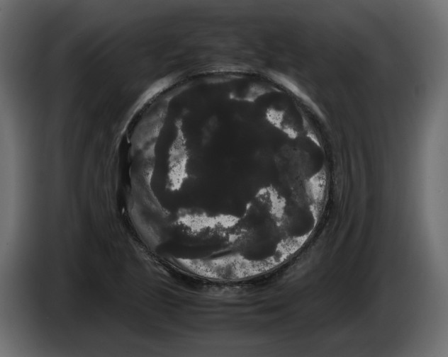 X0000082941221200703020120