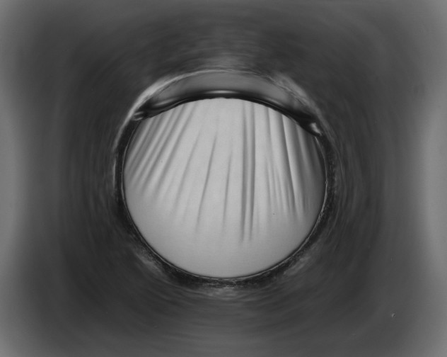 X0000082941222200703020120