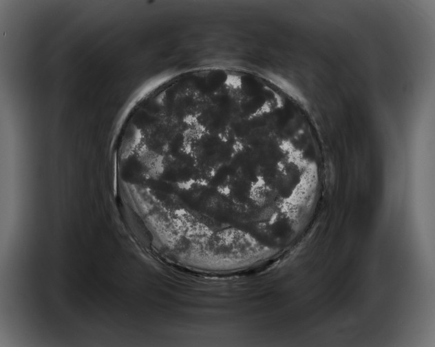 X0000082941223200703020120