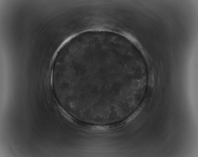 X0000082941224200703020120