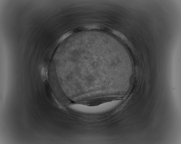 X0000082941225200703020120