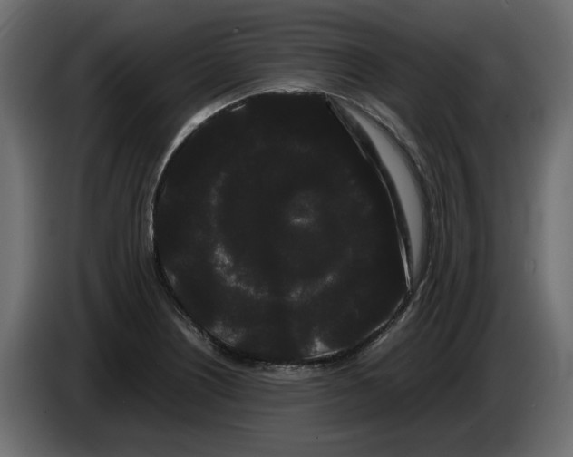 X0000082941226200703020120