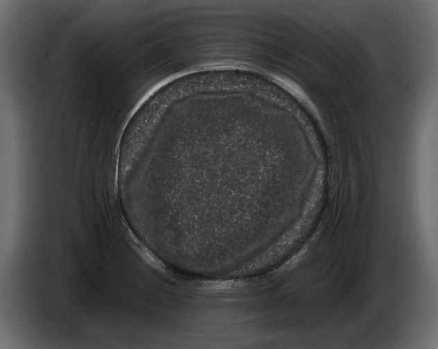 X0000082941228200703020120