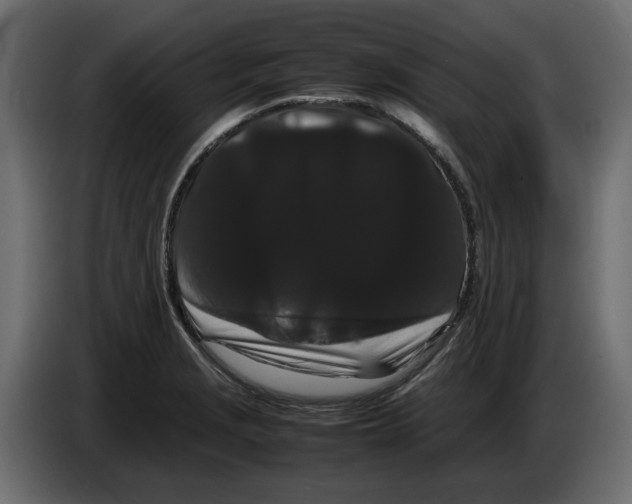 X0000082941229200703020120