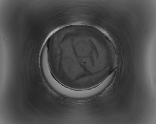 X0000082941230200703020120