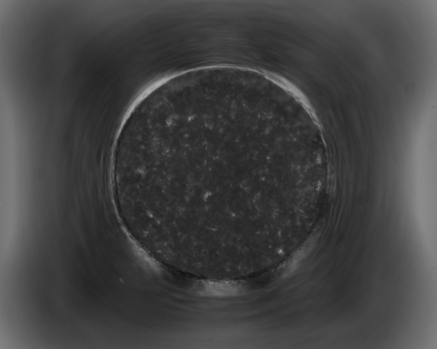 X0000082941231200703020120