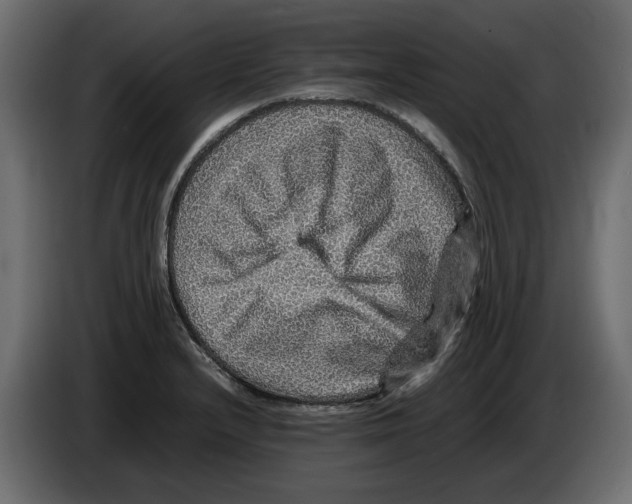 X0000082941232200703020120