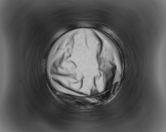 X0000082941233200703020120