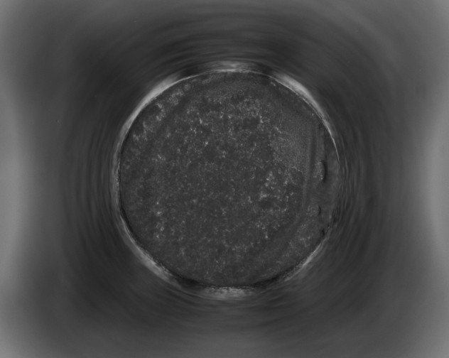 X0000082941235200703020120