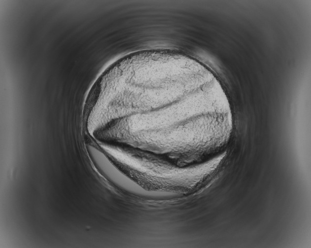 X0000082941236200703020120