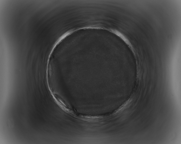 X0000082941237200703020120