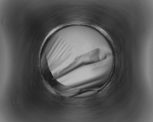 X0000082941238200703020120