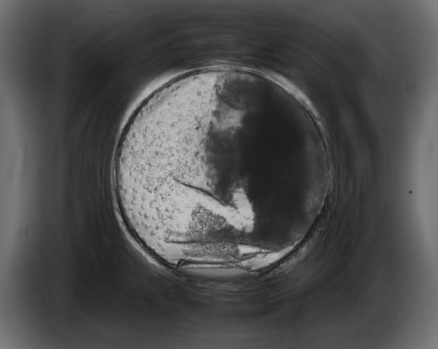 X0000082941239200703020120