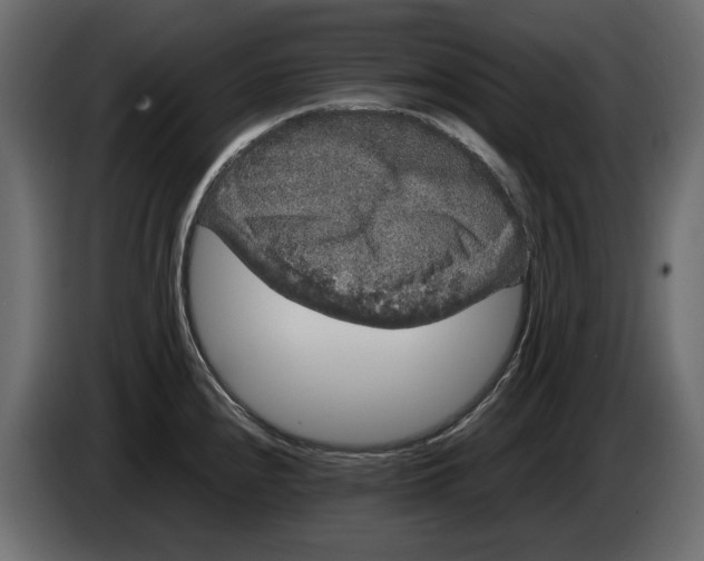 X0000082941240200703020120