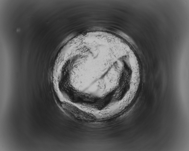 X0000082941241200703020120