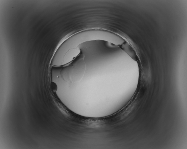 X0000082941242200703020120