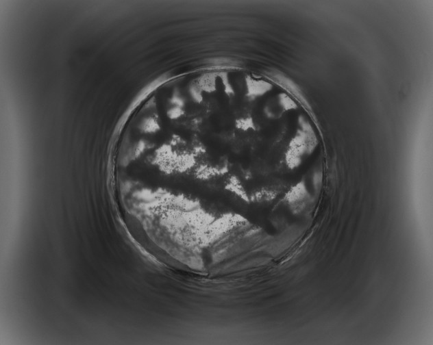 X0000082941243200703020120