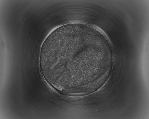 X0000082941244200703020120