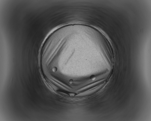 X0000082941246200703020120