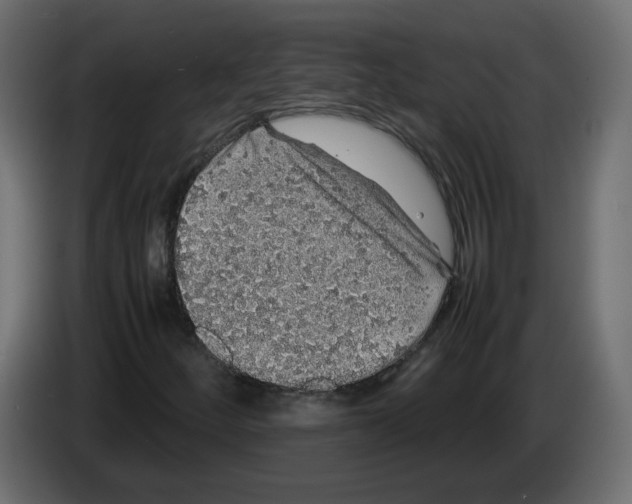 X0000082941252200703020119