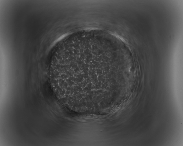 X0000082941255200703020119