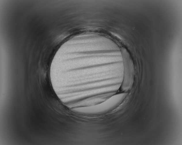 X0000082941257200703020119