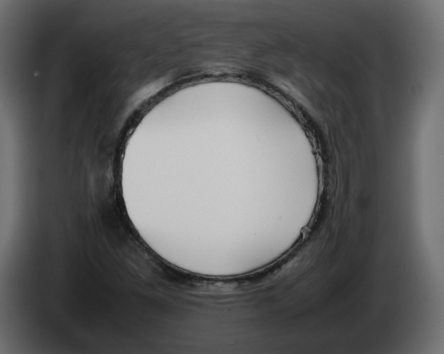 X0000082941261200703020119