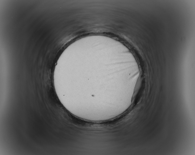 X0000082941265200703020119