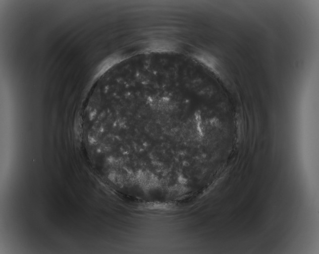 X0000082941266200703020119